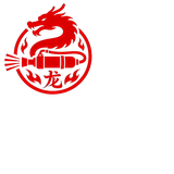 龙盛安消防